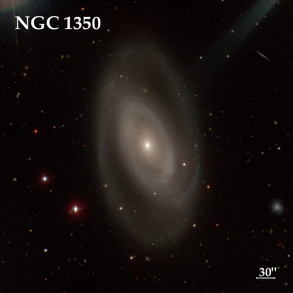 191 Ngc 1350