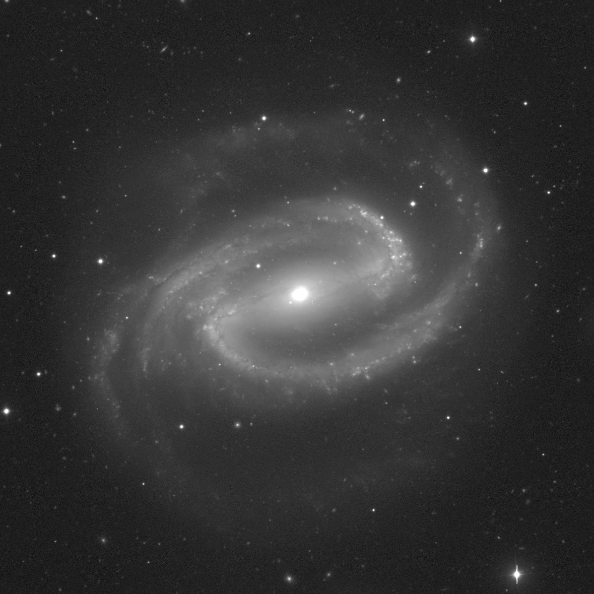 #179 NGC 1300